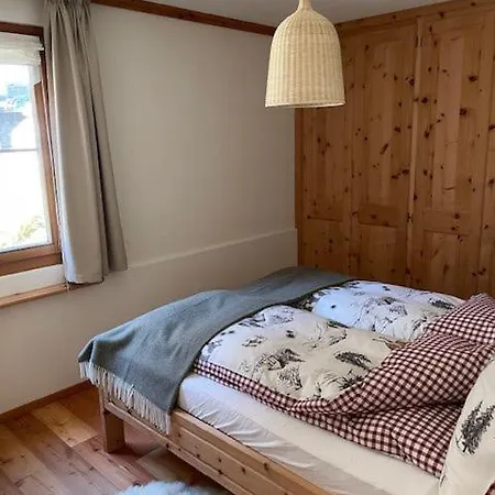 2,5 Mit Bergblick In Engadin Appartement