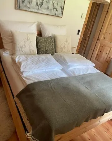 Appartement 2,5 Mit Bergblick In Engadin Zuoz