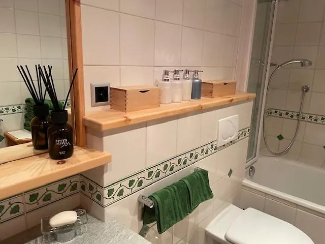 2,5 Mit Bergblick In Engadin