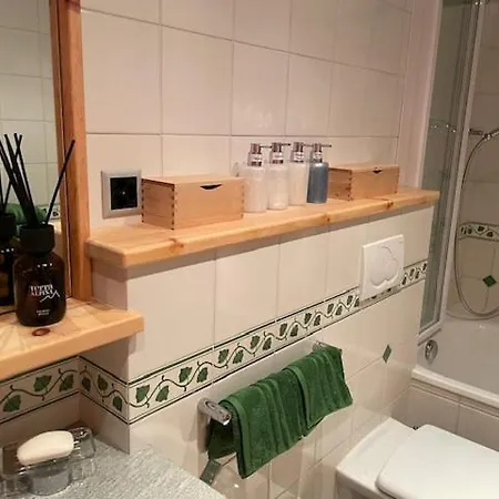 2,5 Mit Bergblick In Engadin