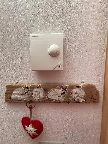 Apartment 2,5 Mit Bergblick In Engadin